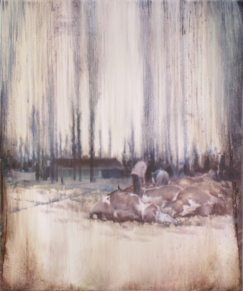 cows struck by lightning, oil on canvas, 120x100cm. 2015