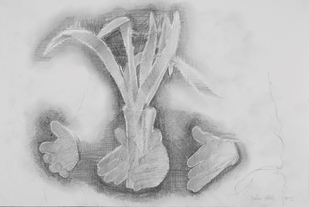 attila szucs, drawing, 32x48cm. 2012 03 06
