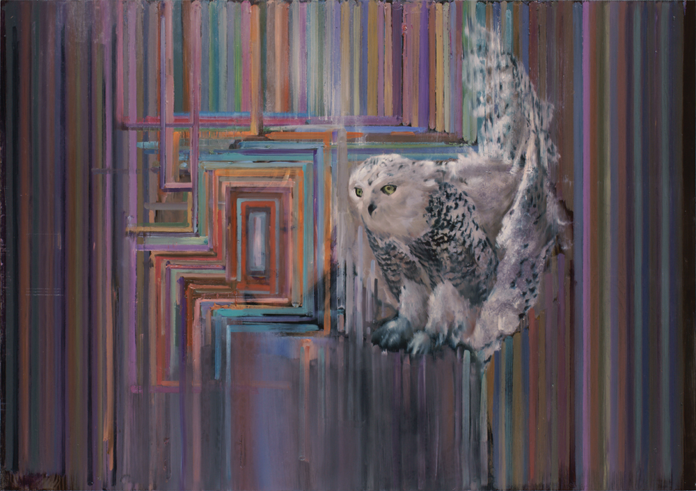 snowy owl, oil on gesso on plywood, 70x100cm 2015-16