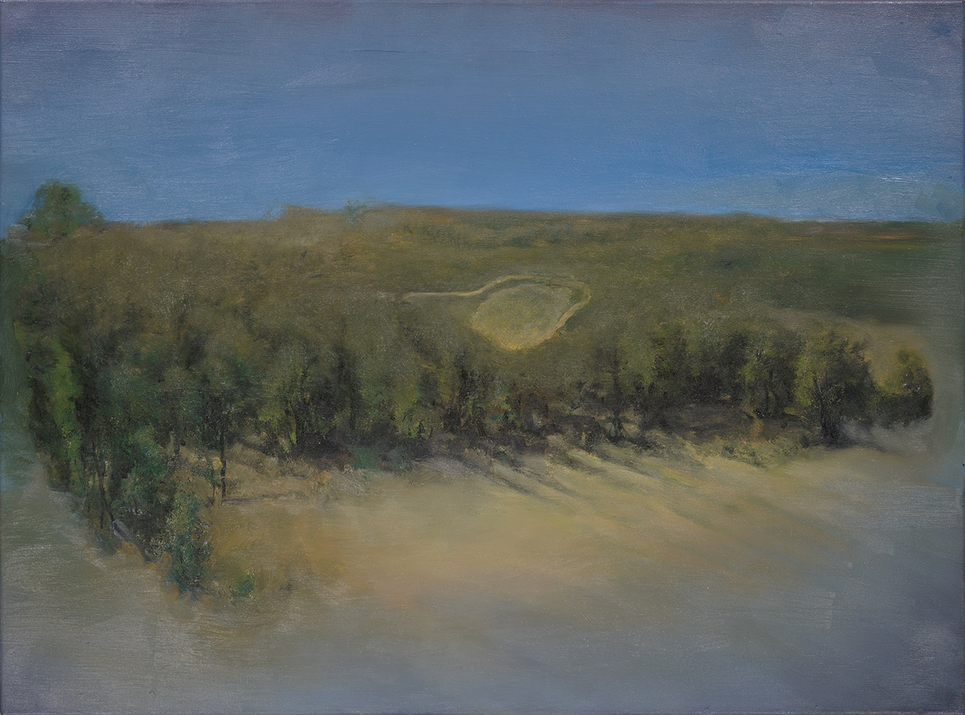 landscape with narrowing wiew o.c. 55x75cm 2000