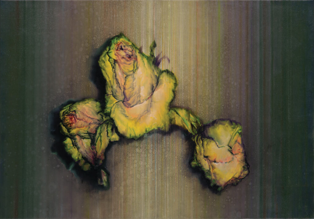 Three yellow rose heads, oil on canvas, 70x100cm. 2026