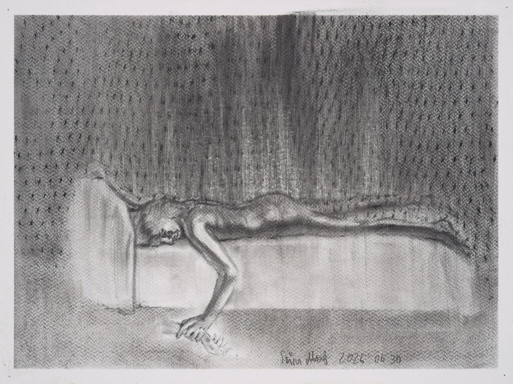 Attila Szucs Drawing, graphite and charcoal on paper, 30x40cm 2026 06 30