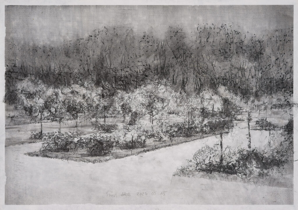 Attila Szucs Drawing, graphite and charcoal on paper, 30x42cm 2026 09 15